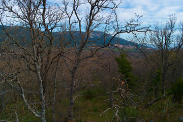 krajobraz góry skały drzewa widok natura przyroda sierra de guadarrama © Piotr