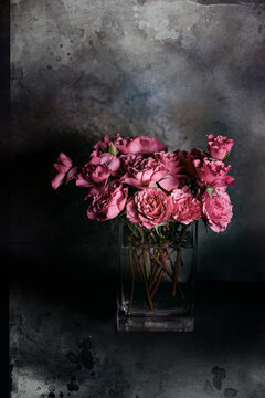 Pale pink roses on gray backdrop 