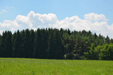 Fototapeta premium beautiful Bavarian landscape, forest, blue nedo, green grass