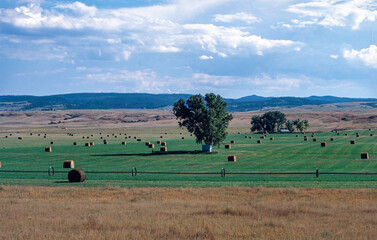 Agriculture fields with hay bales in Nebraska