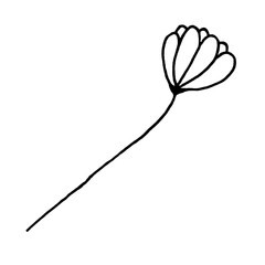 Flower line art. Isolated black line illustration. Stylized wild flower. Hand drawn doodle sketch. Black silhouette on white background.