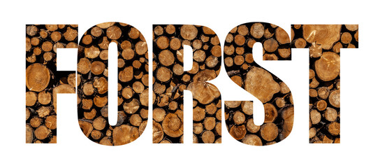 Fototapeta premium Forst Text mit Holzmuster