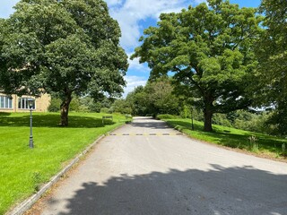 Looking along a road, leading past, Hollins Hall, with old trees, and grass lawns, on a hot summers day in, Bradford, Yorkshire, UK