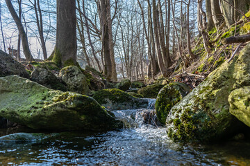 mountain river flows among stones and rocks in a mountain forest
