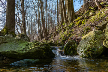 mountain river flows among stones and rocks in a mountain forest