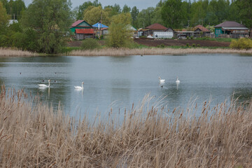 house on the lake