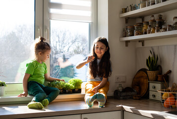 Siblings eat microgreens at the kitchen, fresh ingredients