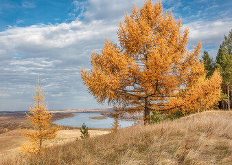 autumn in the mountains