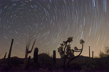 Sonoran Desert Star Trails