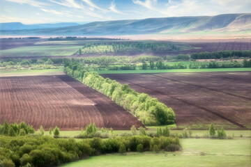 landscape in the morning