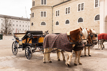 Obraz na płótnie Canvas Carreta con caballos en Estraburgo, Austria.
