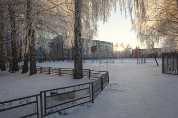 winter in the park