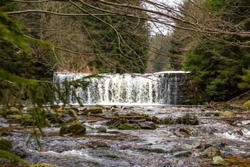 Cascade falls over mossy rocks