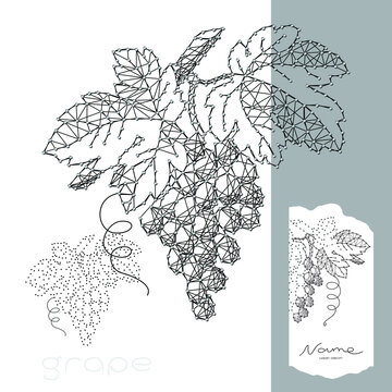 Ornate grapes woven from threads.On white background.Game, scheme for creativity, contemporary art, painting for the interior, wine label. 