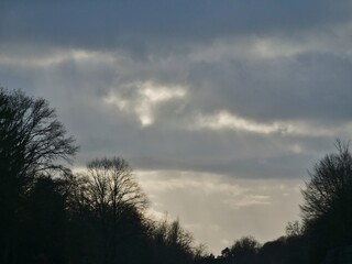 Bäume vor Himmel mit Sonnenstrahlen