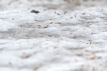 Early spring time dirty gray melted snow