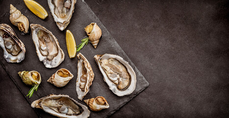 Set of oysters and snails on black platter