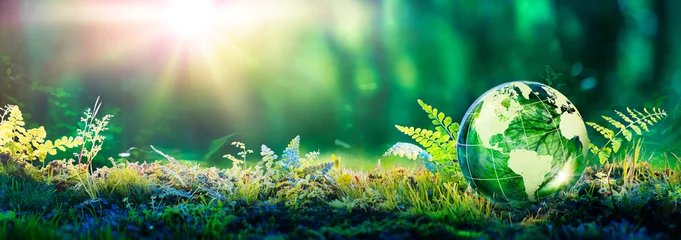 Tuinposter Milieuconcept - bolglas in groen bos met zonlicht © Romolo Tavani