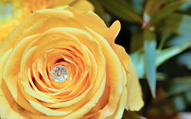 Yellow Rose with centre clear crystal added - stock photo.jpg