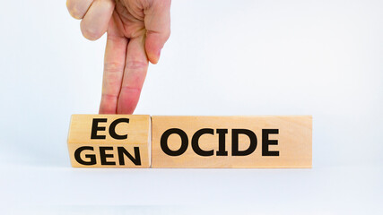 Ecocide or genocide symbol. Businessman turns a cube and changes the word genocide to ecocide. Beautiful white background, copy space. Business, ecological and genocide or ecocide concept.