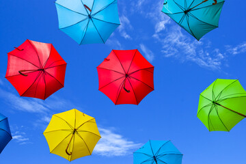 varicoloured umbrella fly on a blue sky  background