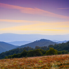 Fototapeta na wymiar misty mountain valley at the twilight