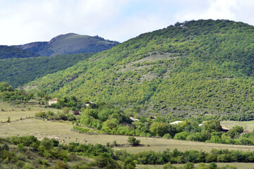Fototapeta na wymiar Castle of the Ksani Eristavs in the South Caucasus