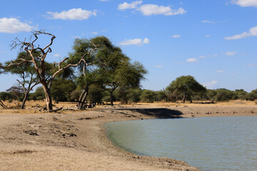 Tarangire National Park landscape, Tanzania, Africa