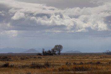 Scenery in the Alamosa WIldlife Refuge