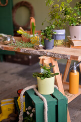 Flower decoration for easter