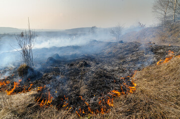 Fire was caused by burning dry grass near village Strilky and Svirzh, Lvivska region, about 40 km from Lviv.