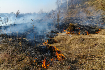 Fire was caused by burning dry grass near village Strilky and Svirzh, Lvivska region, about 40 km from Lviv.
