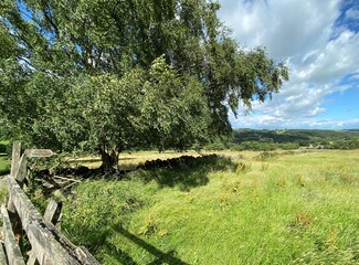 Country landscape, with an overgrown meadow, dry stone walls, and distant hills in, Newhall with Clifton, Harrogate, UK