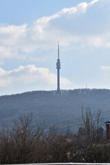 Obraz premium Landscape and view of the tower on Avala in the mist