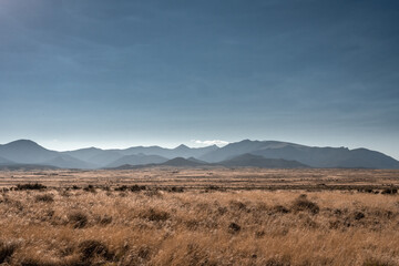 Fototapeta na wymiar Vast Brown Field Below Layers of Great Basin's Mountains