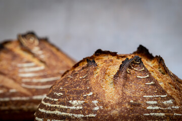 Freshly Baked Loaves of Sourdough Bread