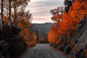 Fall drive in Colorado