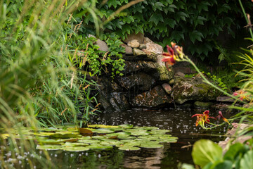 artificial reservoir with fresh water among shrubs in landscape design