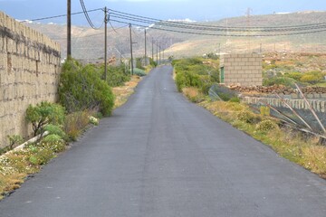 Road to the mountain in Tenerife
