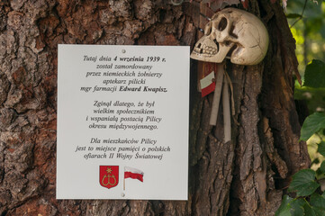 The abandoned old palace in Pilica in Poland