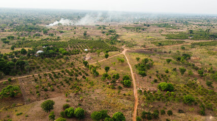 Fototapeta na wymiar Aerial landscape of Agriculture field in Nigeria