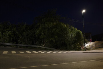 Trees in an urban park at night