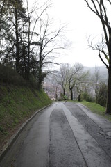 Path in the countryside