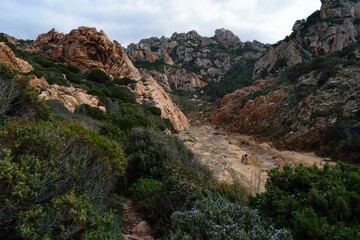 Veduta di Porto Sa Gruzitta