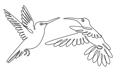 Two hummingbirds are flying. Birds in a modern one line style. Solid line, outline for decor, posters, stickers, logo. Vector illustration.