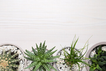 Different house plants in pots on white wooden table, flat lay. Space for text.