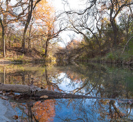 Obraz premium Tunnel formed by opposing creek banks' tree branches arching together with their mirrored reflection in the calm creek below and encircling rail trestle in the center