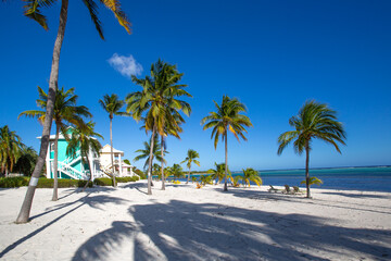 Tropical white sand beach with coco palms and the turquoise sea on Caribbean island.  Pastel color houses pink, green, blue.  Little Cayman, Cayman Islands