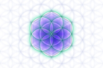 Sacred geometry, seed of life. Vector background.