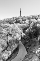 Petrin lookout tower in Prague